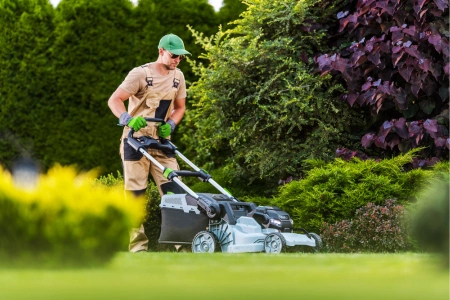 Weekly Lawn Maintenance for DFW Properties